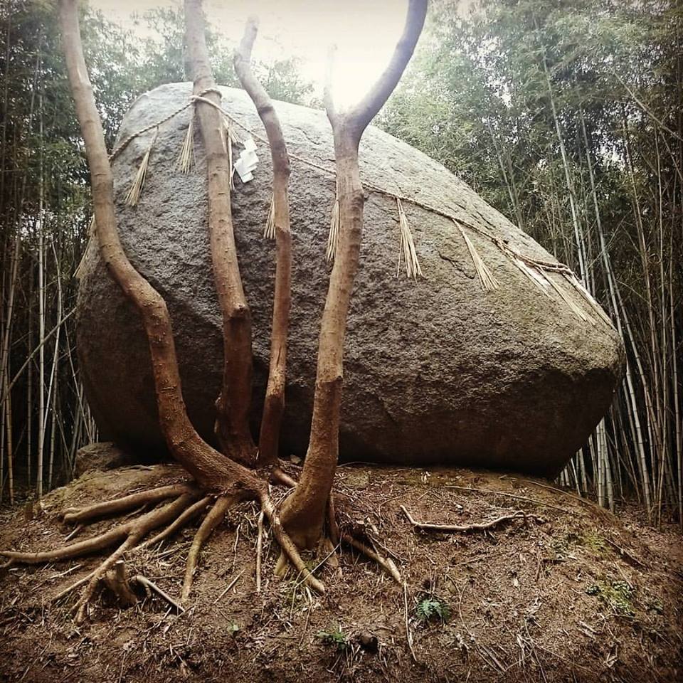 一年前、糸島の「神石」で地底人と繋がったことから、すべては始まった。