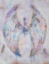 4 羽根ゆらぐ虹彩